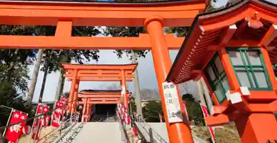 高屋敷稲荷神社の鳥居