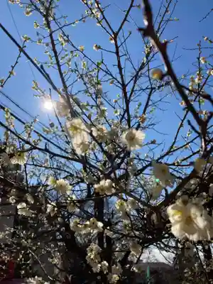 筑波山神社(茨城県)