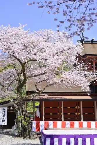 富士山本宮浅間大社(静岡県)