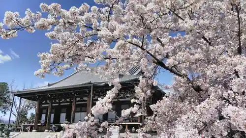 くろ谷 金戒光明寺のその他建物