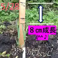 七重浜海津見神社(北海道)