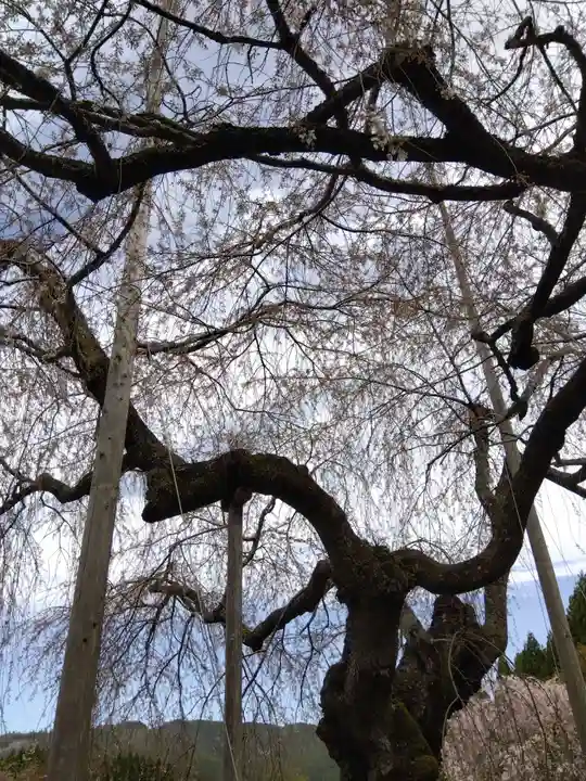 福徳寺(京都府)