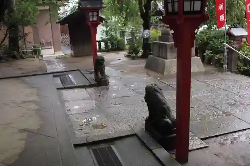 川越八幡宮の狛犬