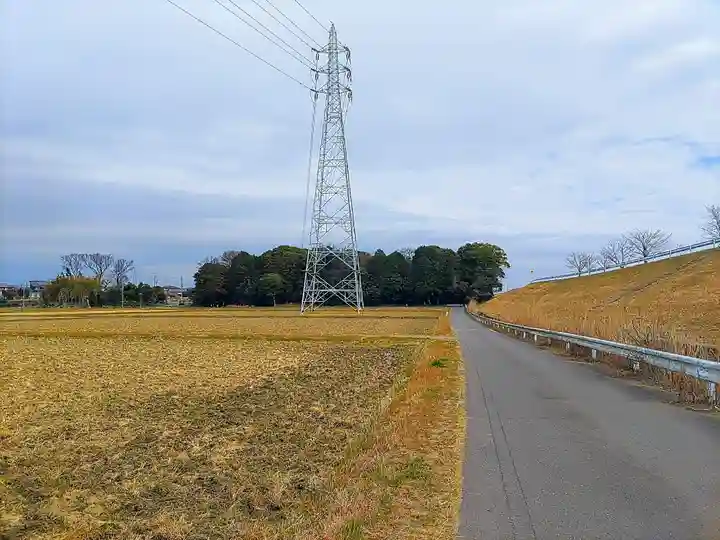 春日神社の自然