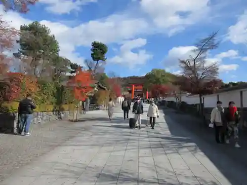 伏見稲荷大社(京都府)