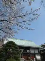 真光寺(千葉県)