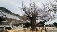 長谷寺(徳島県)