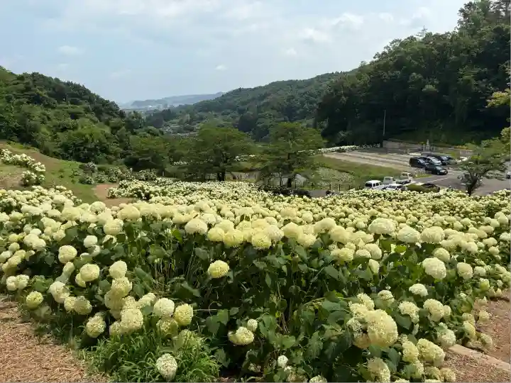 陽林寺(福島県)