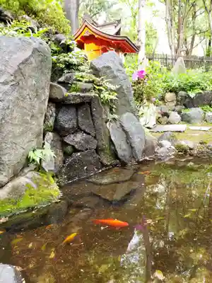 熊野神社(東京都)