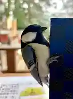 蚊里田八幡宮(長野県)