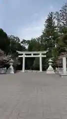 栃木縣護國神社の鳥居