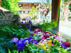 滑川神社 - 仕事と子どもの守り神の手水