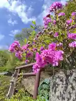 厚別神社(北海道)