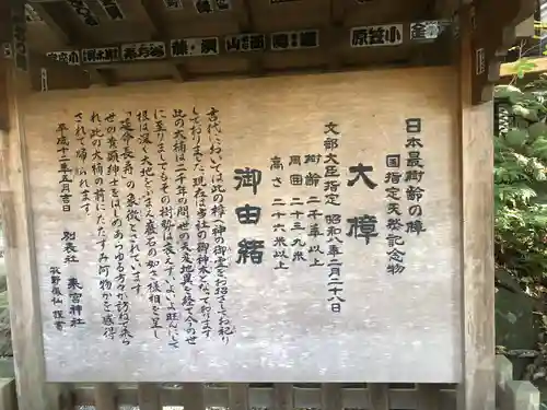 來宮神社(静岡県)