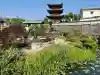 家原寺の{uncategorized: "未分類", other: "その他", undefined: "問題あり", building: "その他建物", grave: "お墓", sacred_gate: "鳥居", guardian: "狛犬", statue: "像", buddha: "仏像", history: "歴史", nature: "自然", garden: "庭園", animal: "動物", pagoda: "塔", temizu: "手水舎", mountain_gate: "山門・神門", sanctuary: "本殿・本堂", subordinate: "末社・摂社", art: "芸術", scenery: "景色", jizo: "地蔵", ema: "絵馬", goshuin: "御朱印", omikuji: "おみくじ", items: "授与品その他", amulet: "お守り", goshuincho: "御朱印帳", eats: "食事", festival: "お祭り", votive_dance: "神楽", shichigosan: "七五三参", wedding: "結婚式", experience: "体験その他", initially: "初詣", around: "周辺", anti_infection: "感染症対策"}