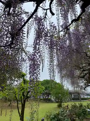 大山祇神社(愛媛県)