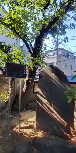 千住氷川神社(東京都)