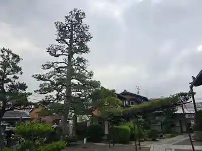 青嶠寺(滋賀県)