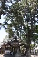 樹下神社(滋賀県)