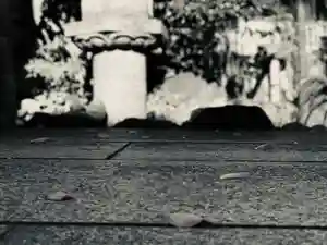 吹上寺の自然(2021年01月14日(木) 06時12分55秒投稿)