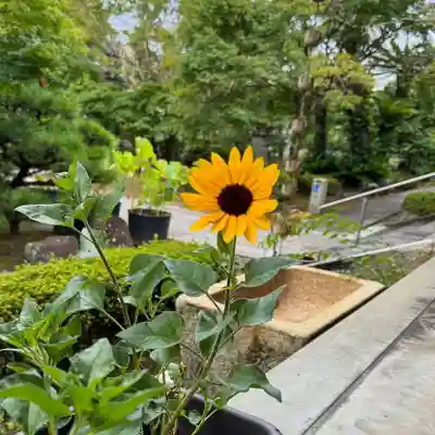 伊勢の国 四天王寺(三重県)