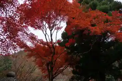 白龍神社(京都府)