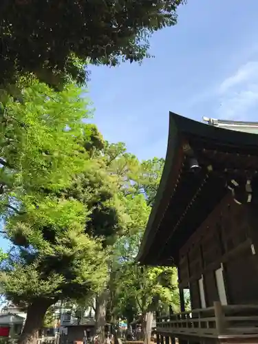 鬼子母神堂　(法明寺）の自然