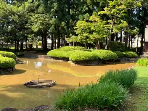 林泉寺の庭園