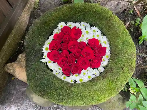菅生神社(愛知県)