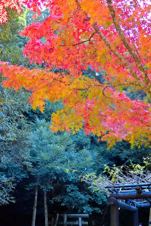 鹿島神宮(茨城県)