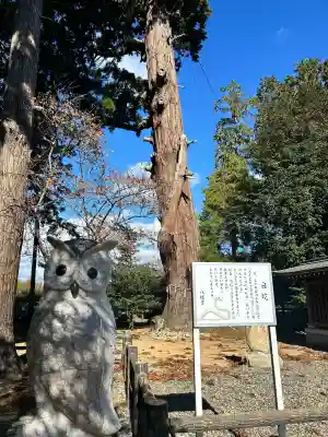 八幡宮(茨城県)