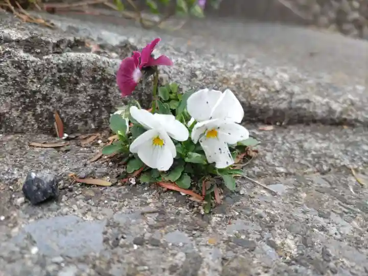 西宮神社の自然