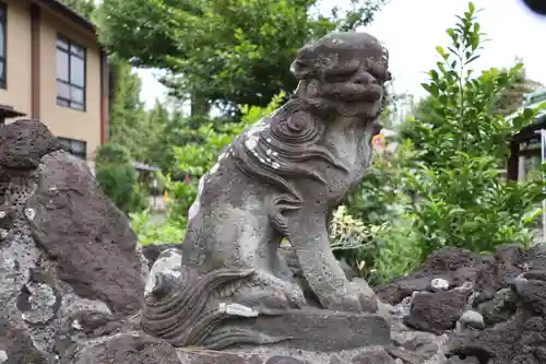 鷺宮八幡神社の狛犬