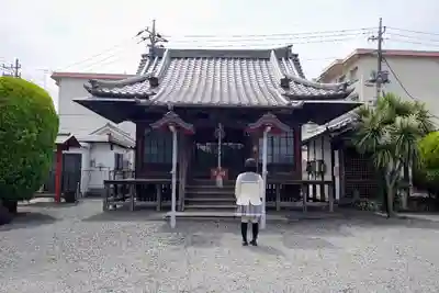 妙顕寺の本殿・本堂