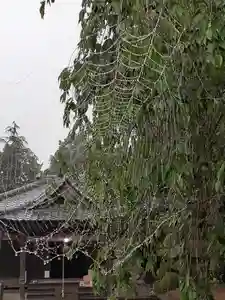 伏木香取神社の自然(2021年05月19日(水) 05時56分03秒投稿)