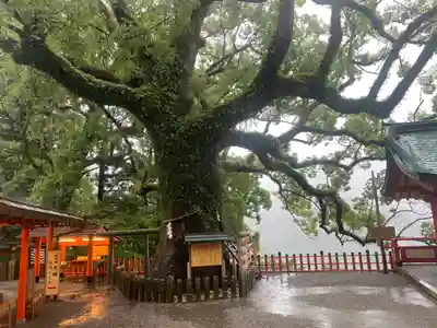 熊野那智大社(和歌山県)