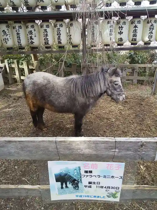 大石神社の動物