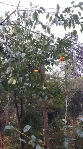 建勲神社(京都府)