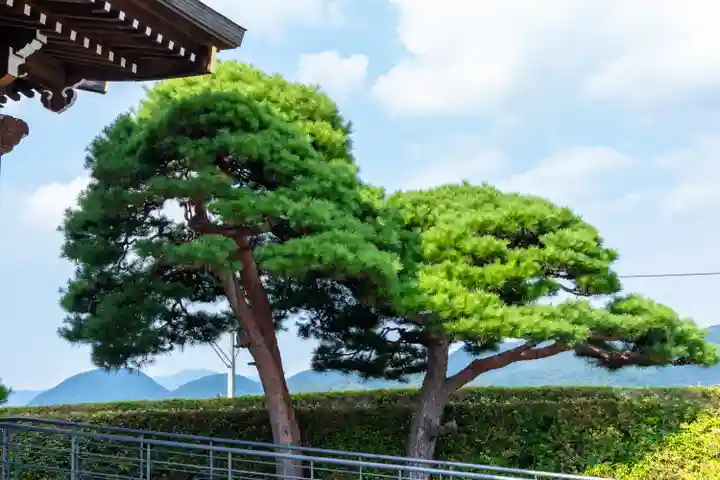 山形縣護國神社(山形県)