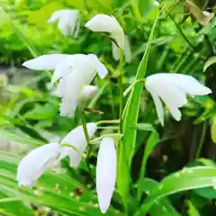 豊景神社の自然