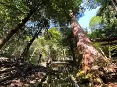 神明神社(京都府)