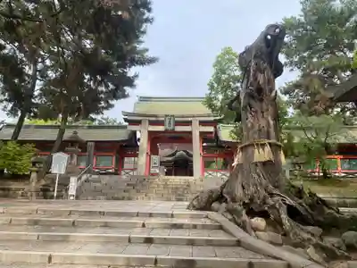 住吉大社の鳥居
