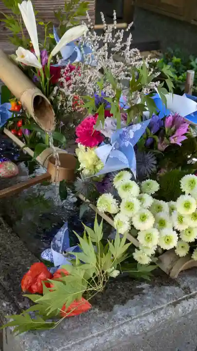 勝林寺(京都府)