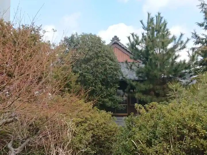 妙雲寺(三重県)