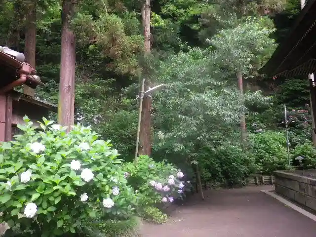 御霊神社の自然