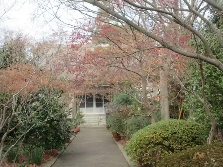 薬師寺(東京都)