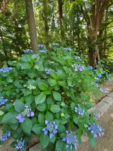 三春大神宮の庭園