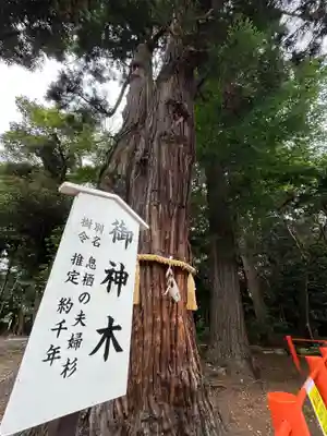 息栖神社(茨城県)