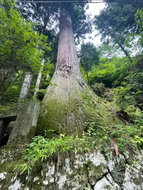 榛名神社(群馬県)