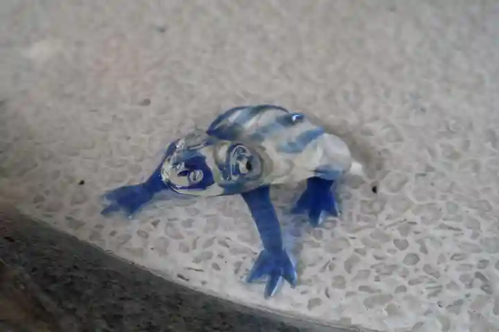 金剛宝寺(紀三井寺)(和歌山県)